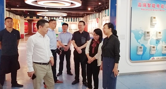 青田县组织部长金志红调研pp电子园区党总支