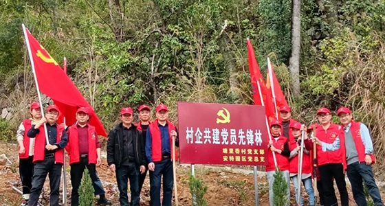 村企共建，，，，共植先锋林