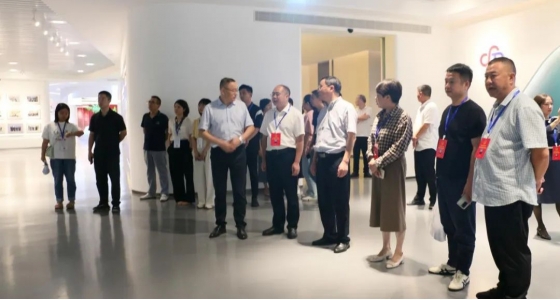 丽水市第五届人大代表景宁中心组调研pp电子集团