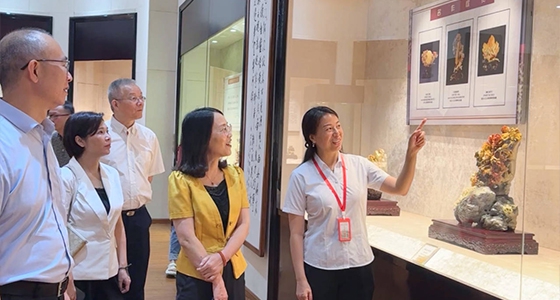 探索东方风范，，，，，，，pp电子·倪东方艺术博物馆与时代脉搏共振